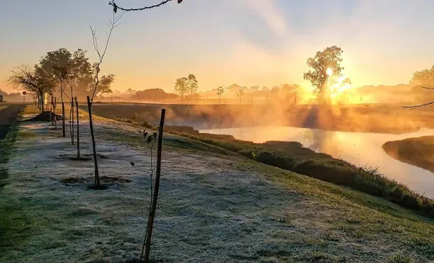 Previsão do tempo para quarta-feira (22), em SP: tempo firme