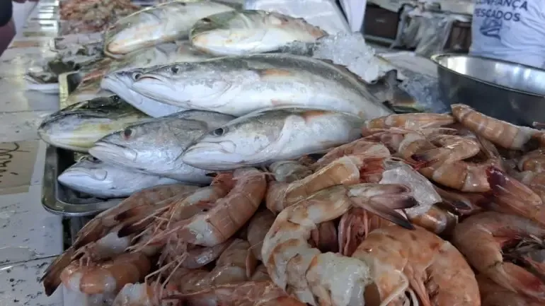 Bagres nas praias de Ubatuba exige atenção de banhistas