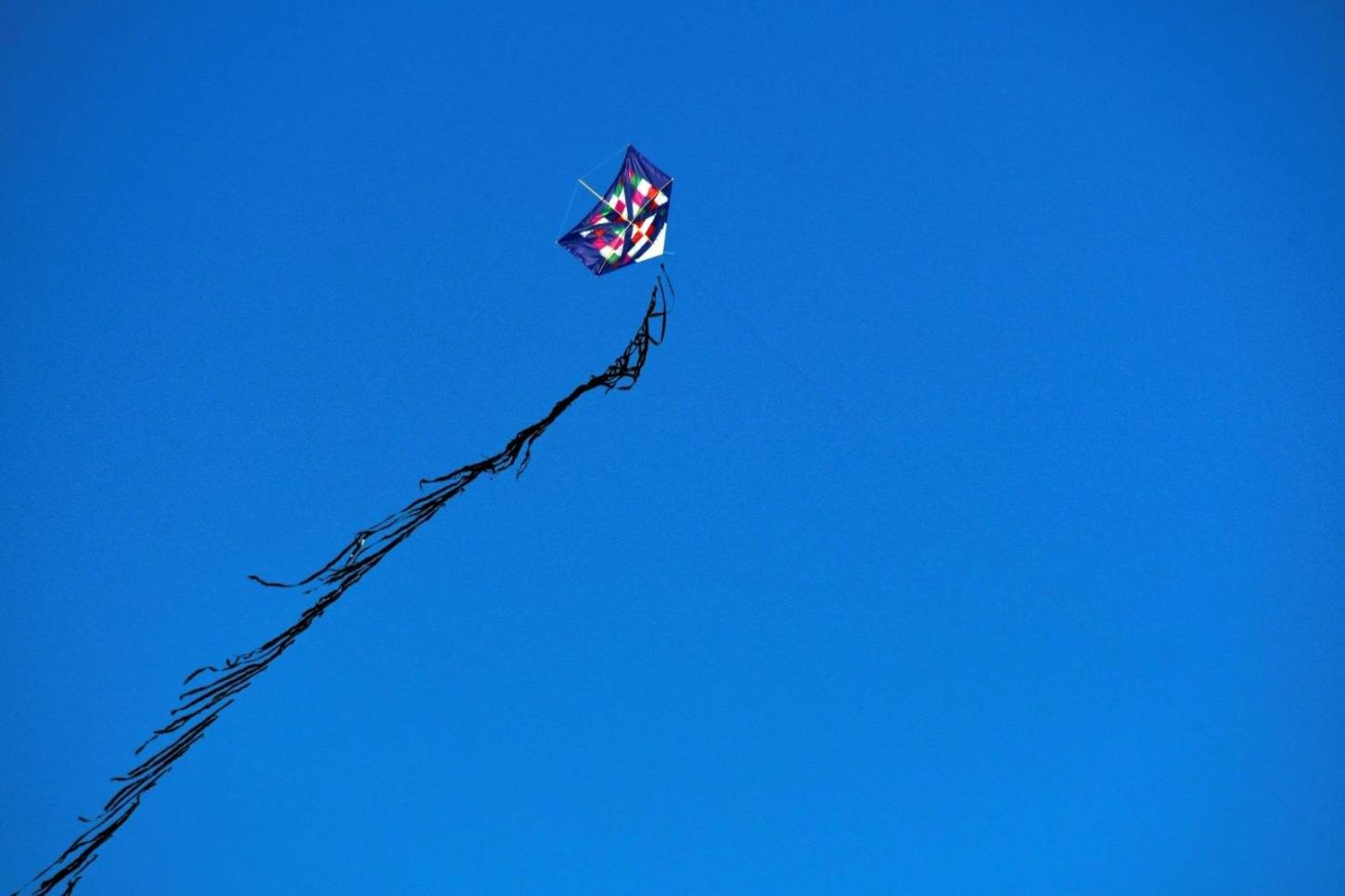 Ocorrências com pipas na rede elétrica crescem 42% no Vale e Litoral Norte