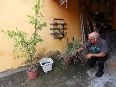 Combate à Dengue: confira o cronograma das ações desta semana em Jacareí