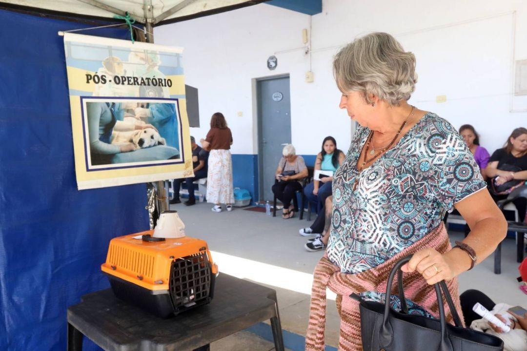 Novo mutirão garante a castração de quase 800 cães e gatos em dois meses em Jacareí