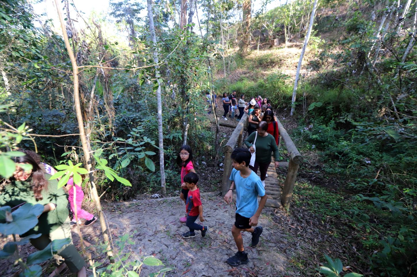Oficina de máscara, brincadeiras, trilhas e mais: confira atrações do “Viver o Viveiro” deste domingo (8), em Jacareí