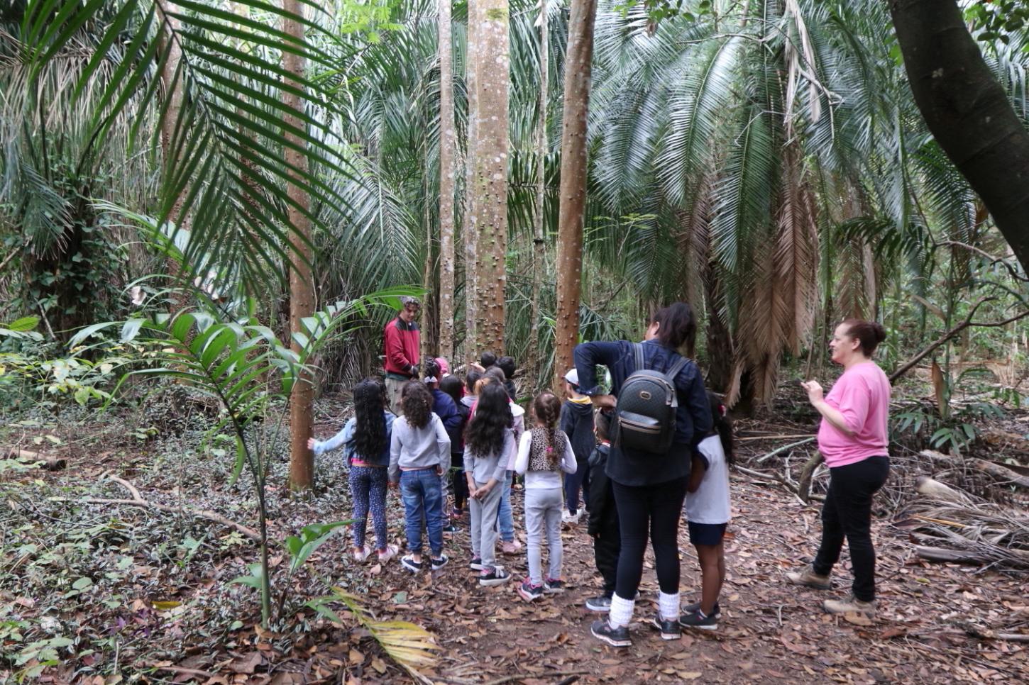 “Viver o Viveiro” tem oficina de repicagem de mudas, observação com microscópio, trilhas e brincadeiras neste domingo (1º)