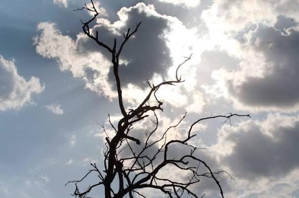 Previsão do tempo para sexta-feira (20), em SP: sensação de tempo abafado