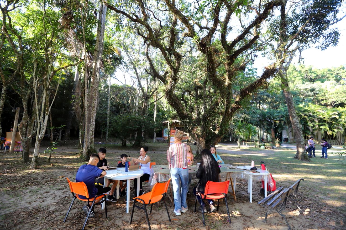 Programação do “Viver o Viveiro” tem oficinas com materiais recicláveis e trilhas neste domingo (15), em Jacareí