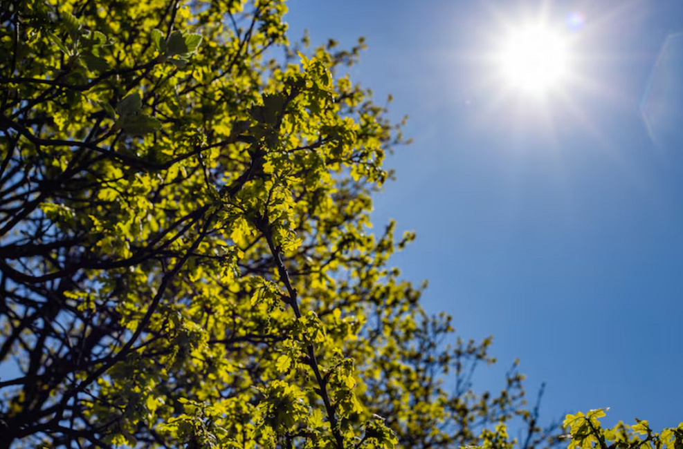Semana começa com sol, calor e chance de pancadas de chuva no Vale do Paraíba