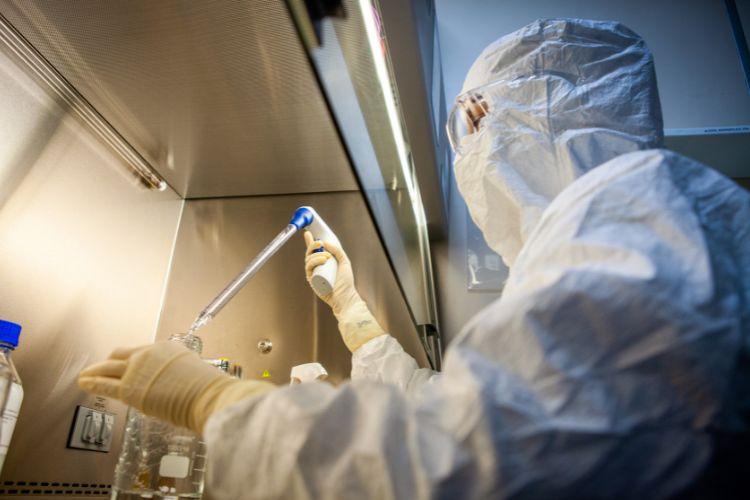 Febre amarela pode se espalhar com mais intensidade perto de metrópoles, mostra estudo da USP