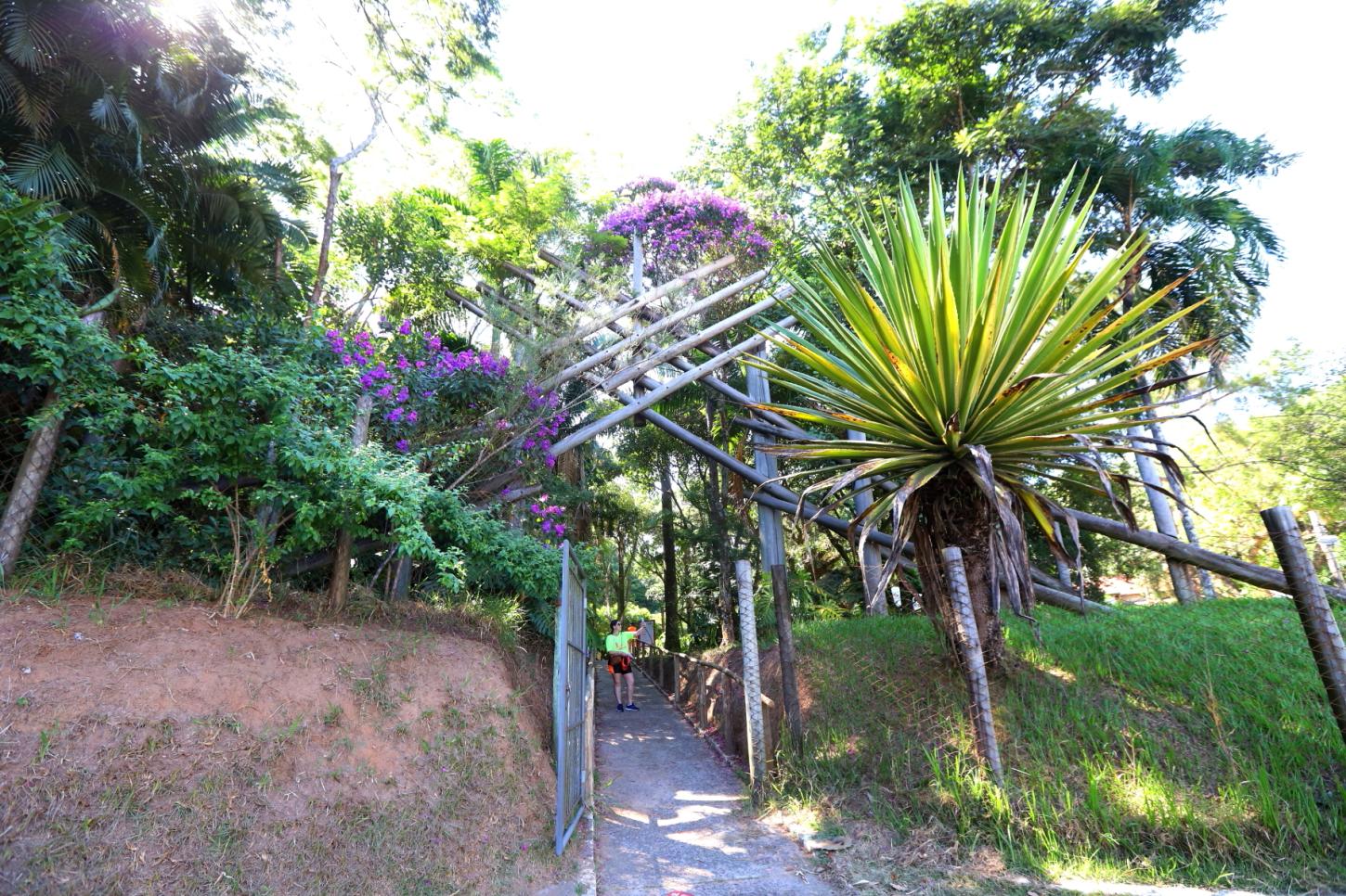 JACAREÍ: Viver o Viveiro” tem portões abertos neste domingo (19) em programação com oficinas ecológicas, trilhas e brincadeiras