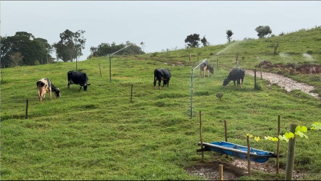 Refloresta SP transforma propriedades no Vale do Paraíba
