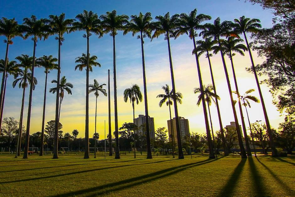 São José busca recorde com maior treino de crossfit do mundo