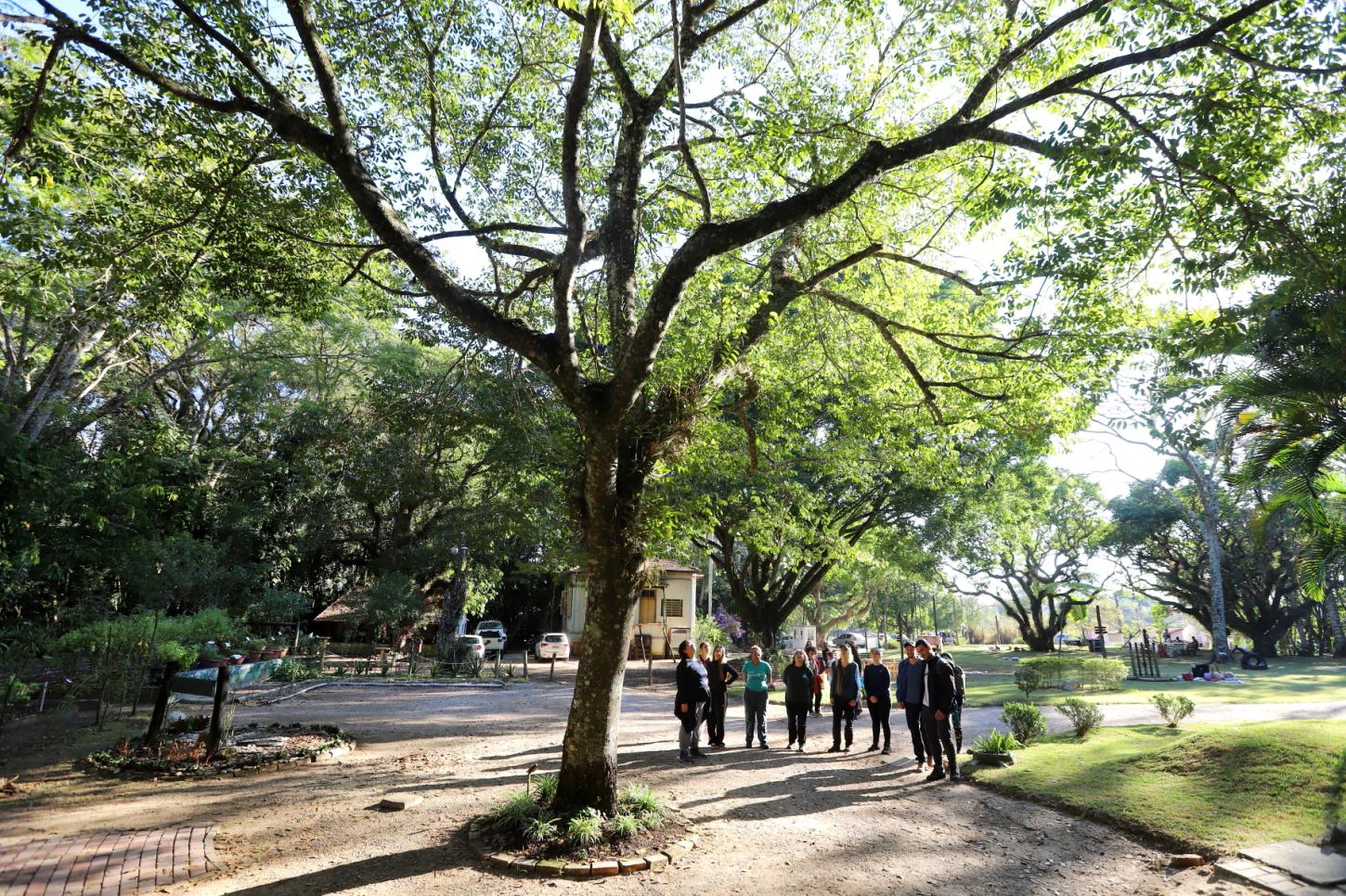 Viver o Viveiro” tem brincadeira de caça aos ovos com espécies da fauna, trilhas e muito mais