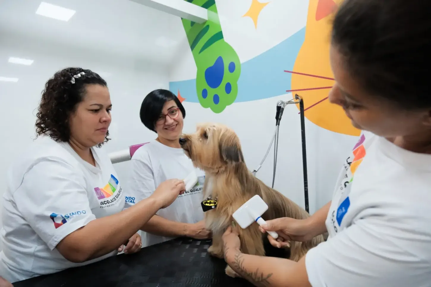 Fundo Social de Jacareí abre vagas para curso gratuito de banho e tosa