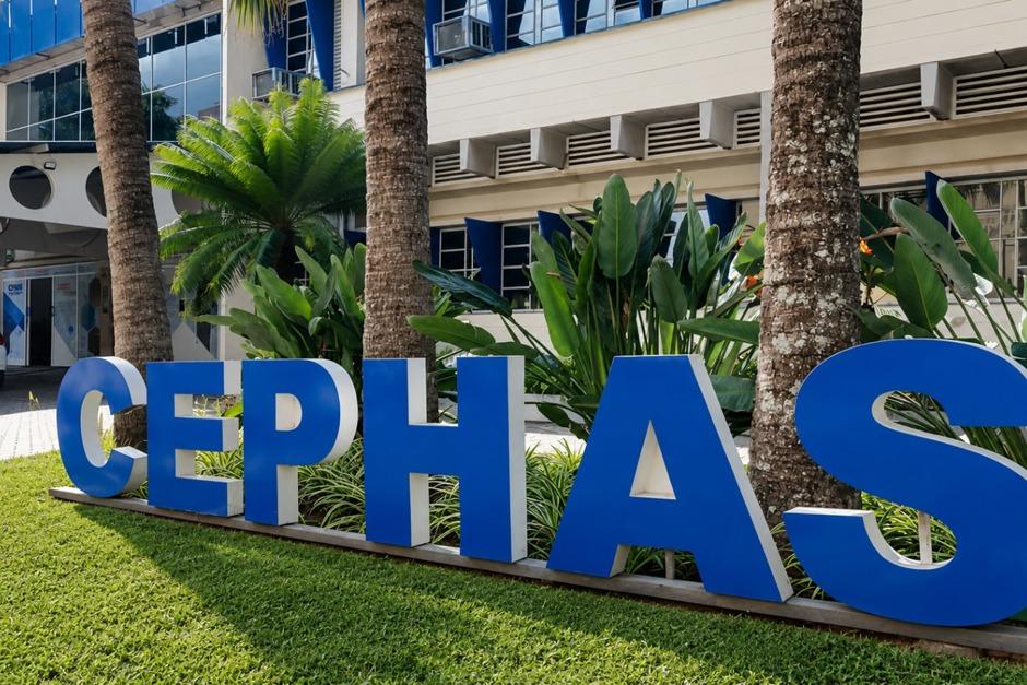 Inscrições para o Vestibulinho Cephas 2026 entram na reta final