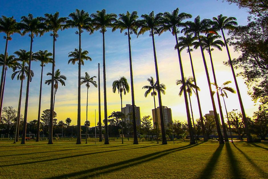 Sanja Coffee Party estreia no domingo com 1.500 participantes