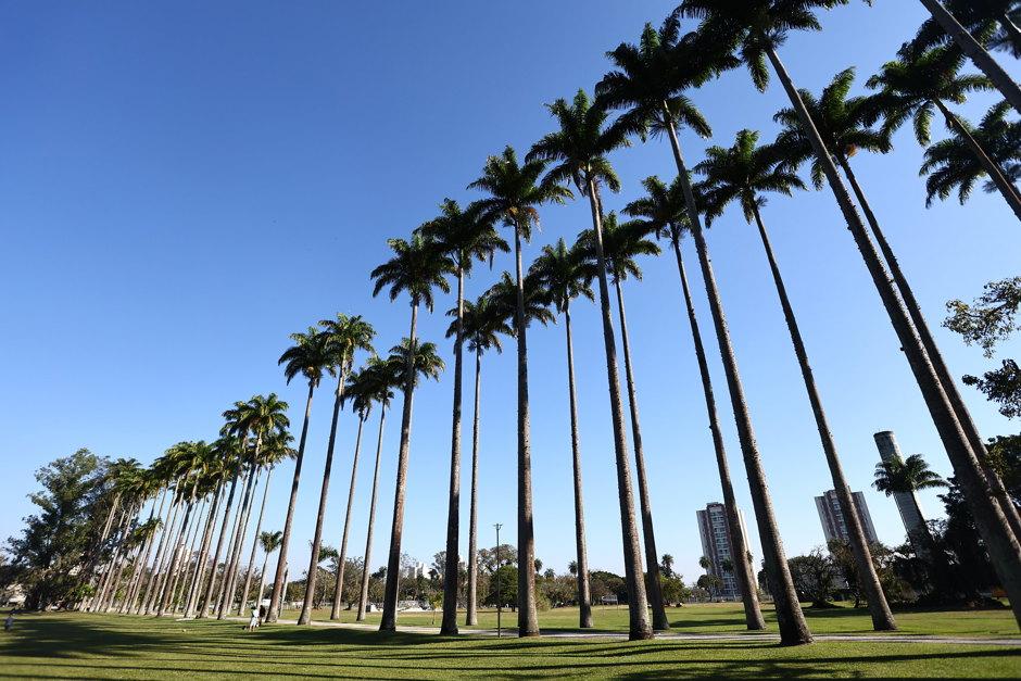 SÃO JOSÉ: Em busca do recorde mundial de cross training neste domingo