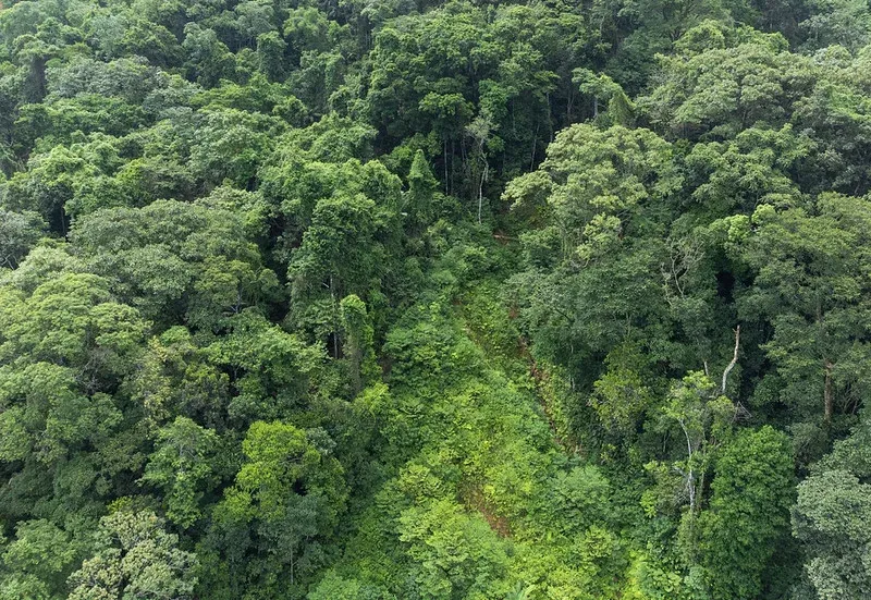 Fundação Florestal de SP encerra inscrições de concurso público para 68 vagas neste domingo (19)