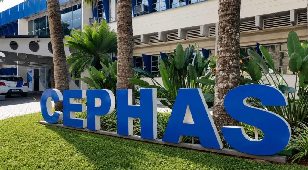 Cephas abre 104 vagas para cinco cursos gratuitos de qualificação em São José