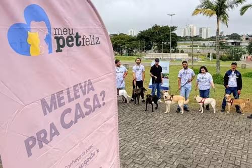 Feira de adoção itinerante leva pets até o Aquarius no sábado