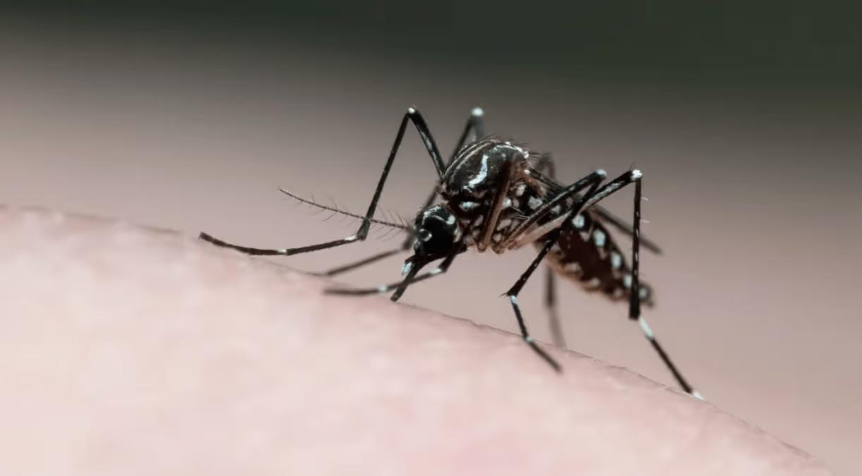Jacareí registra terceira morte por dengue no ano
