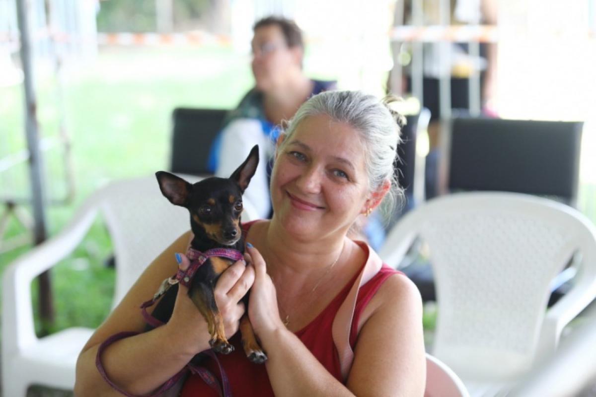 Meu Pet Feliz abre 1.000 vagas para castração em São José