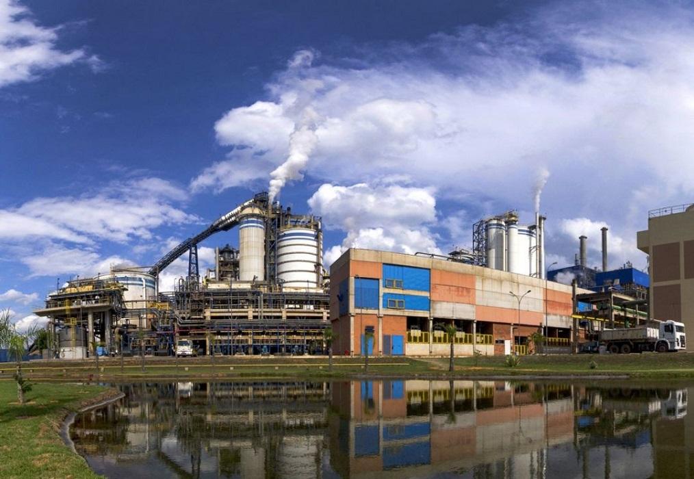 Suzano abre vagas de emprego na fábrica de Jacareí; saiba como se candidatar