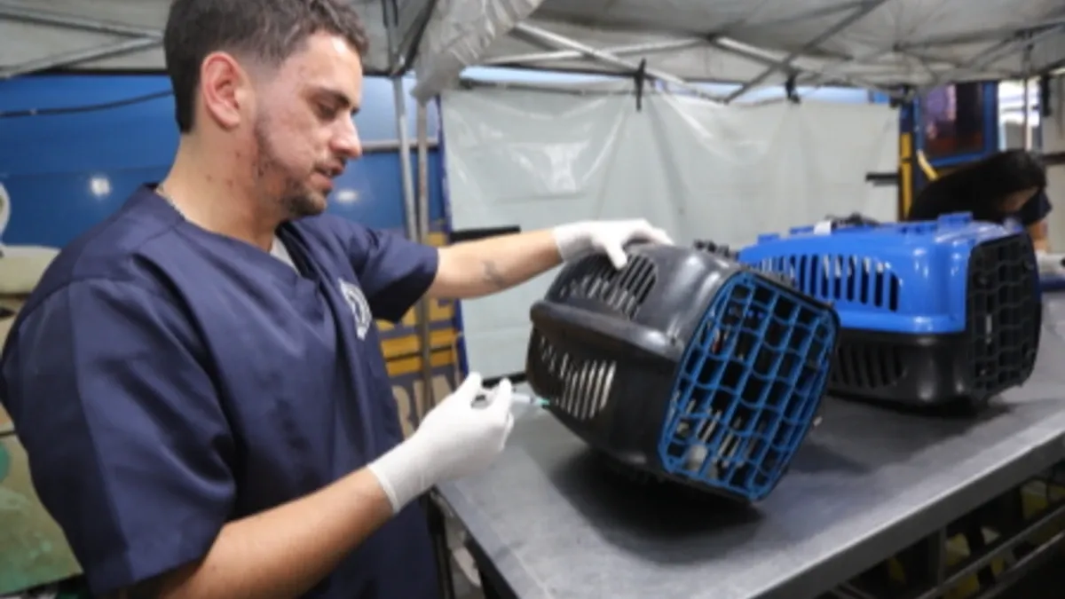 Prefeitura de Jacareí libera senhas para mutirão de castração