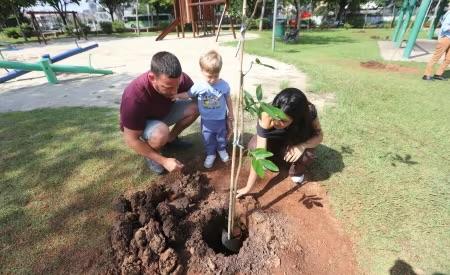 Jacareí mobiliza servidores e moradores para o plantio de 400 mudas de árvores nesta semana