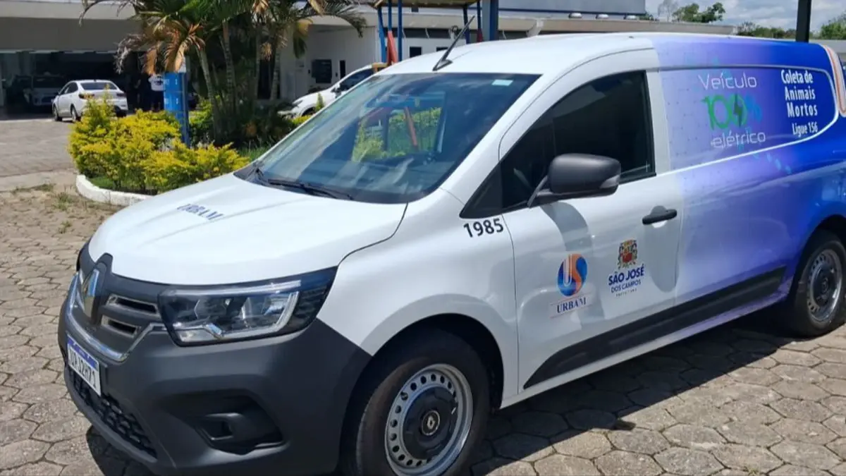SJC oferece recolhimento de animais mortos; veja como solicitar