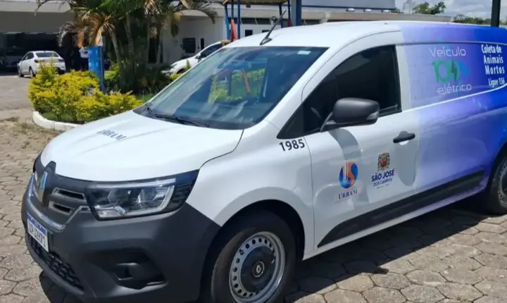 SJC oferece recolhimento de animais mortos; veja como solicitar